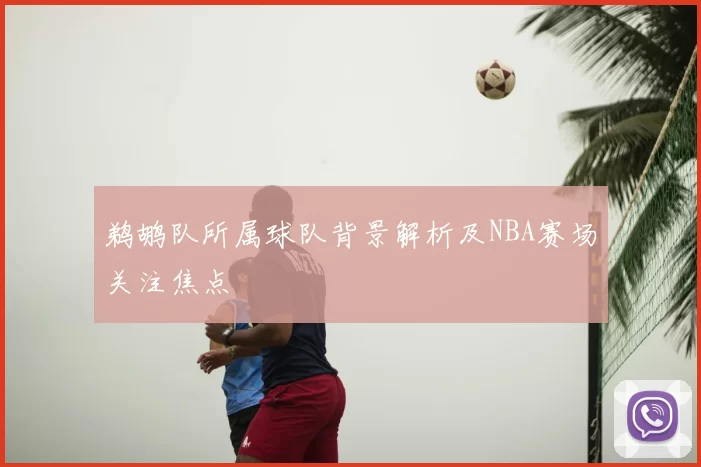 鹈鹕队所属球队背景解析及NBA赛场关注焦点