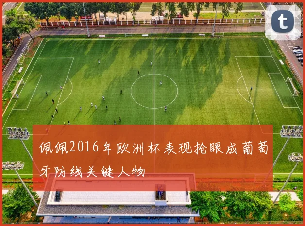 佩佩2016年欧洲杯表现抢眼成葡萄牙防线关键人物