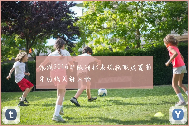 佩佩2016年欧洲杯表现抢眼成葡萄牙防线关键人物